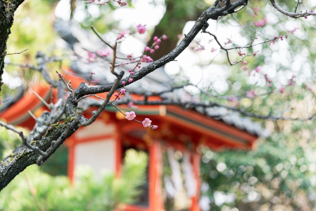 年末年始のお休みのお知らせ